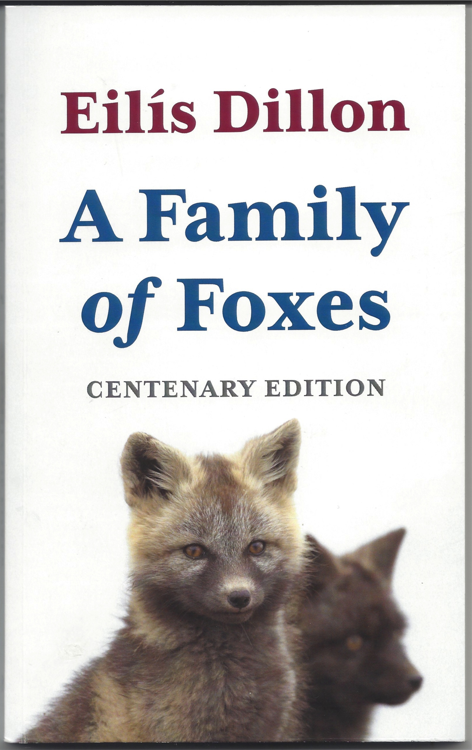 A Family of Foxes Centenary Edition